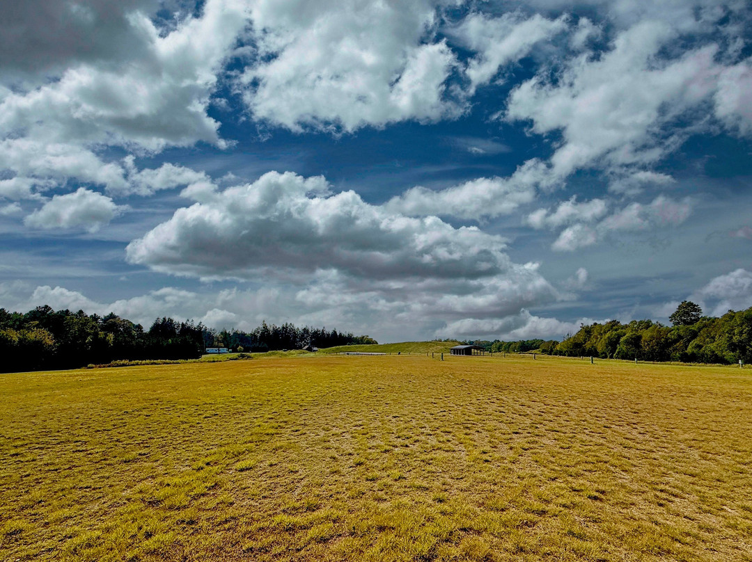 Cherry Springs State Park-Coudersport必去景点
