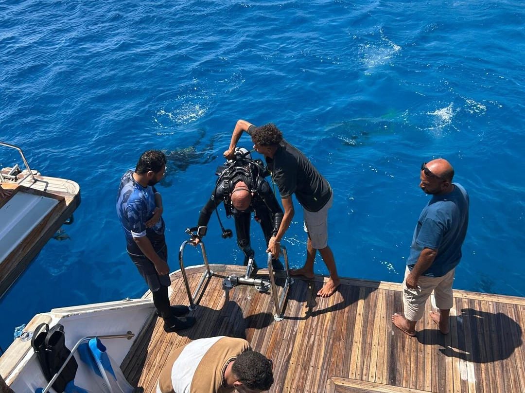 Dive more group-赫尔格达必去景点