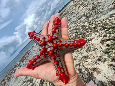 Kenya Safari-瓦塔木必去景点