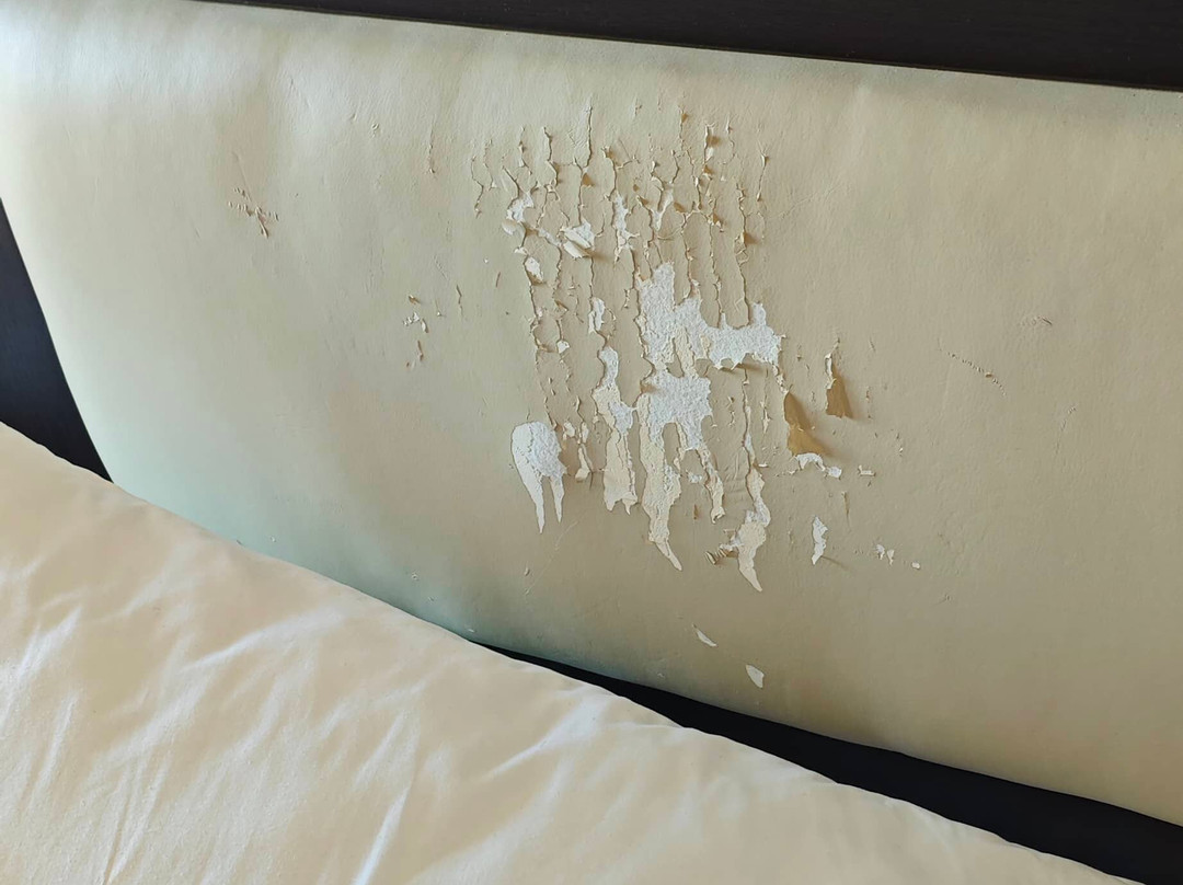 Hotel Belvedere主图