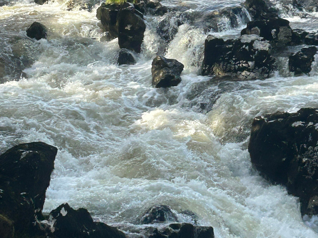 Linton Falls-Grassington必去景点