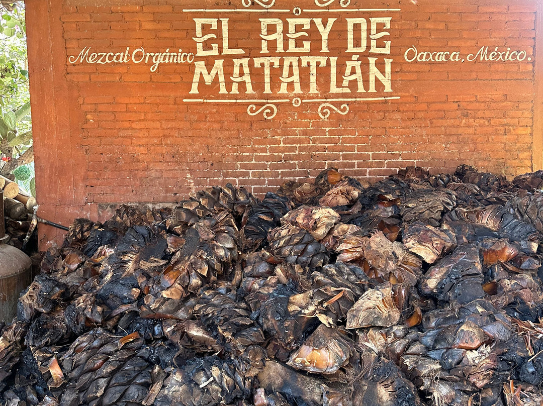 El Rey de Matatlan-Tlacolula必去景点