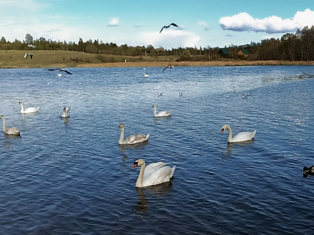 Gorodishhenskoye Lake-Izborsk必去景点