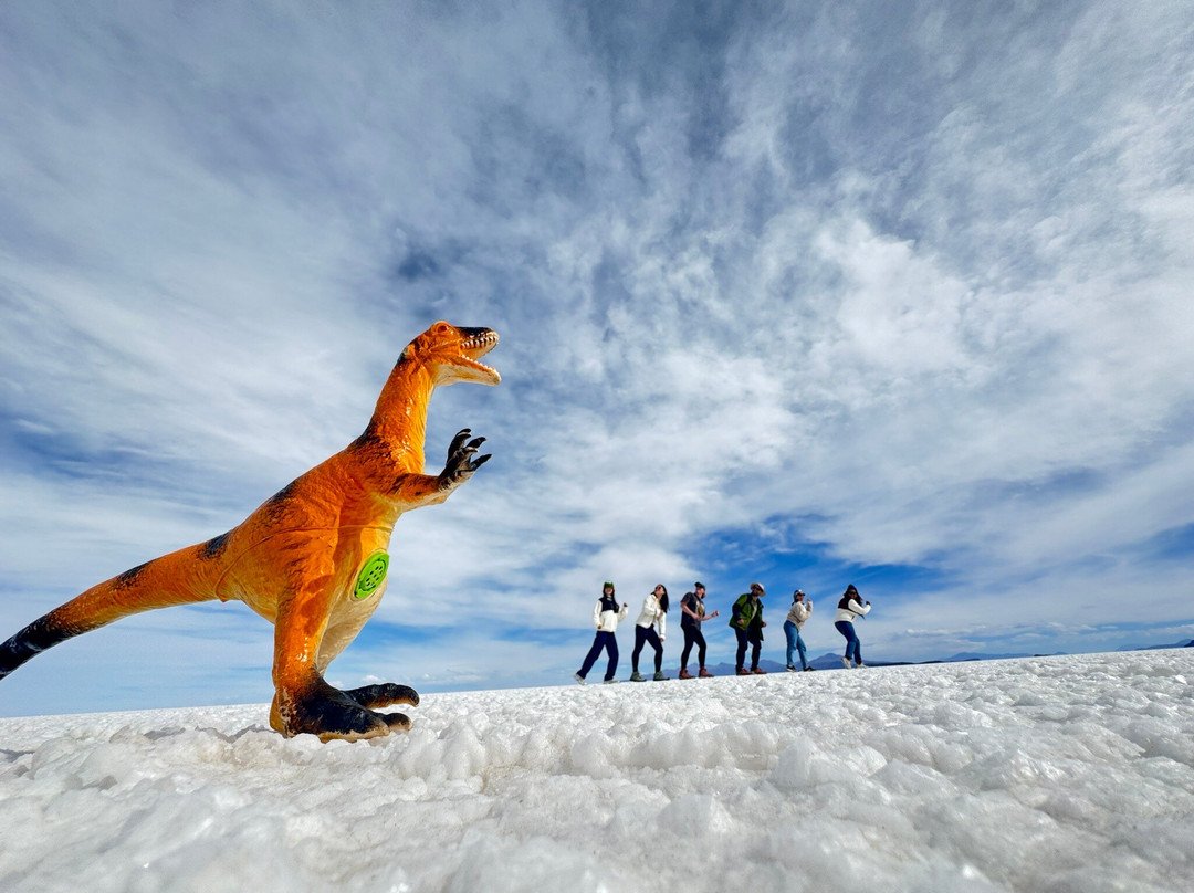 Salar Camel Experience-乌尤尼必去景点