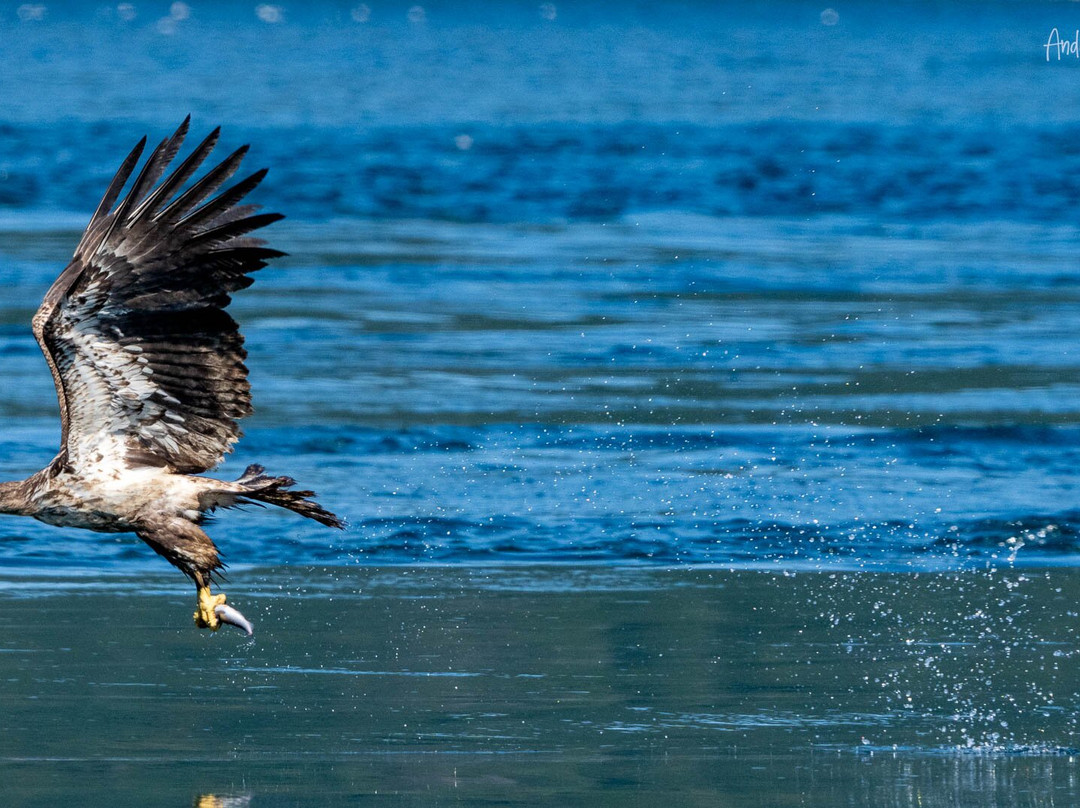 Adventure Quest Tours Canada Inc-坎贝尔里弗必去景点