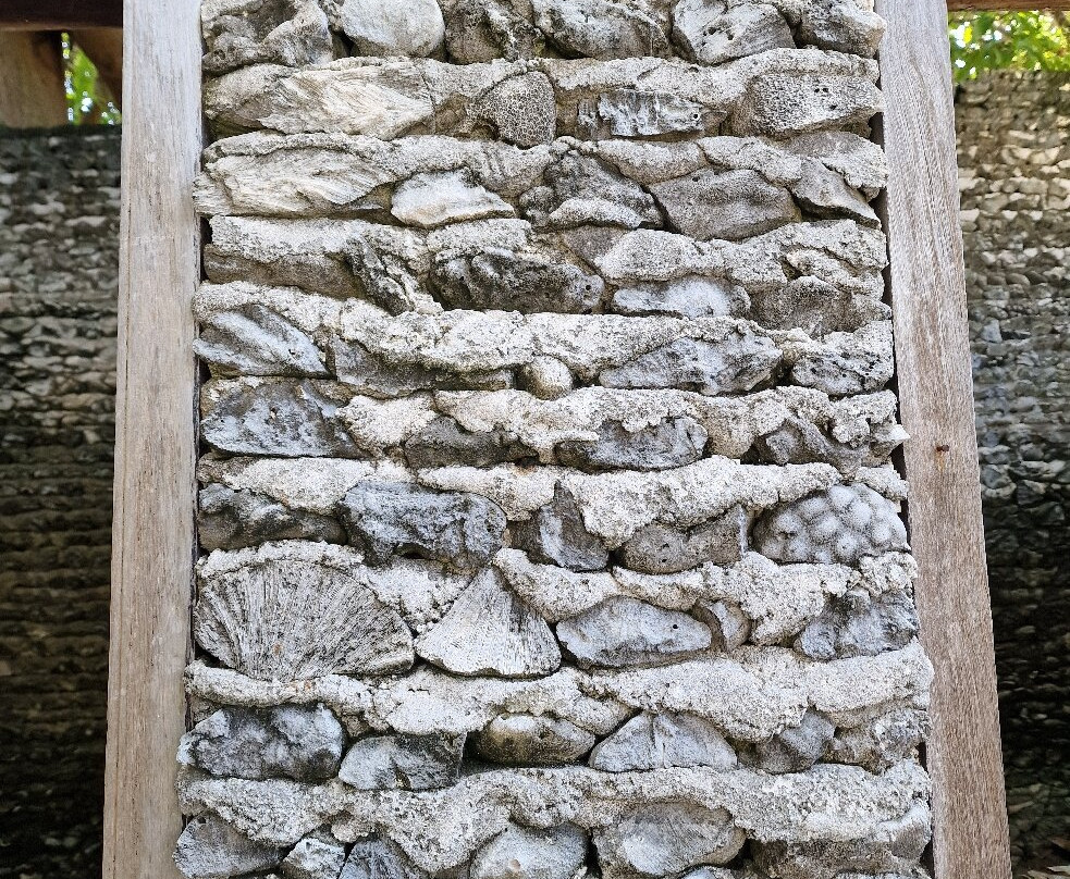 Maldives Originals-Naifaru必去景点