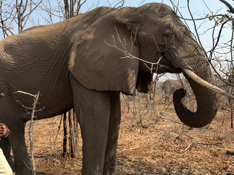 African Aerial Safaris-比勒陀利亚必去景点