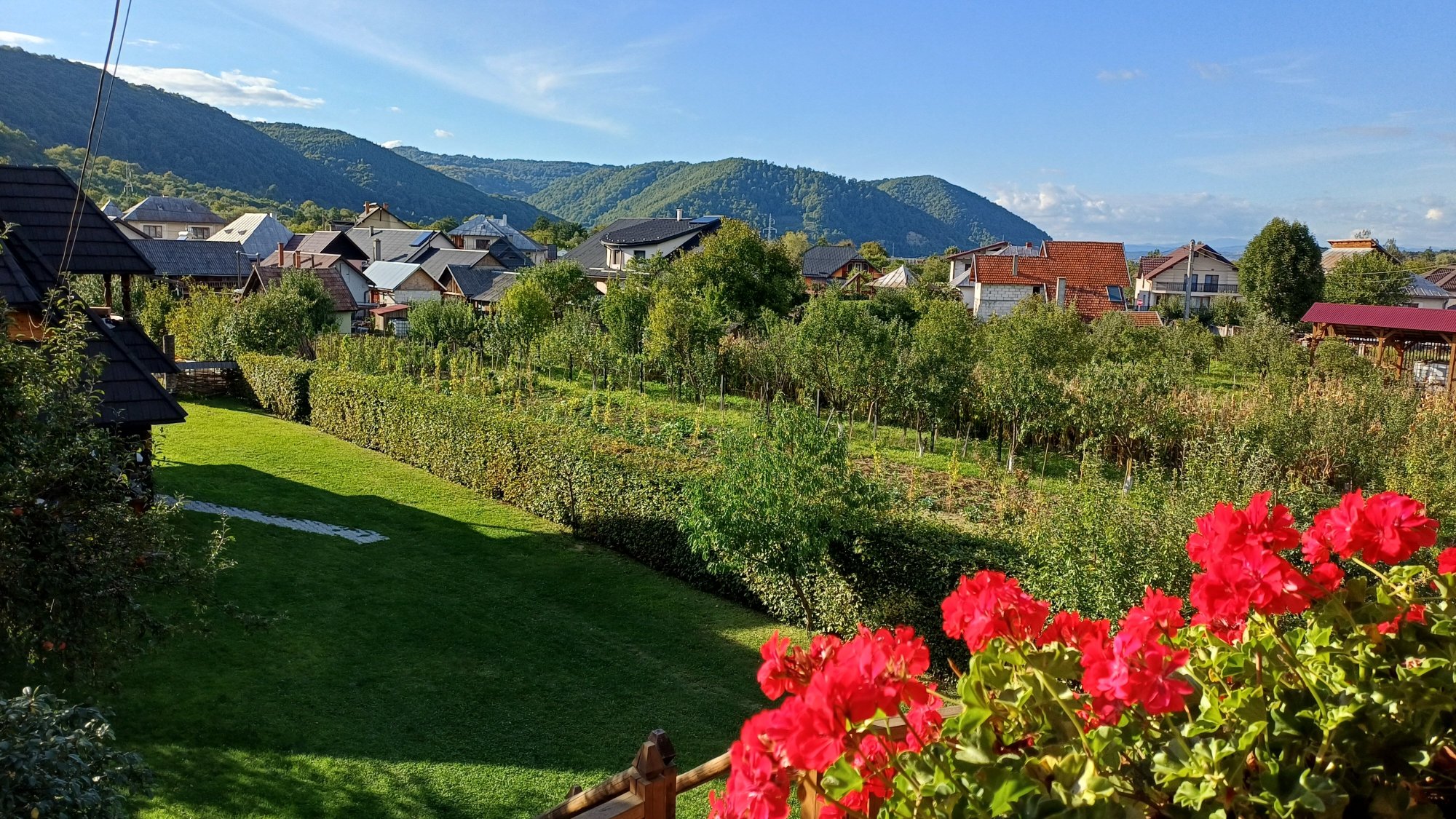 Pensiunea Ardelean-官方