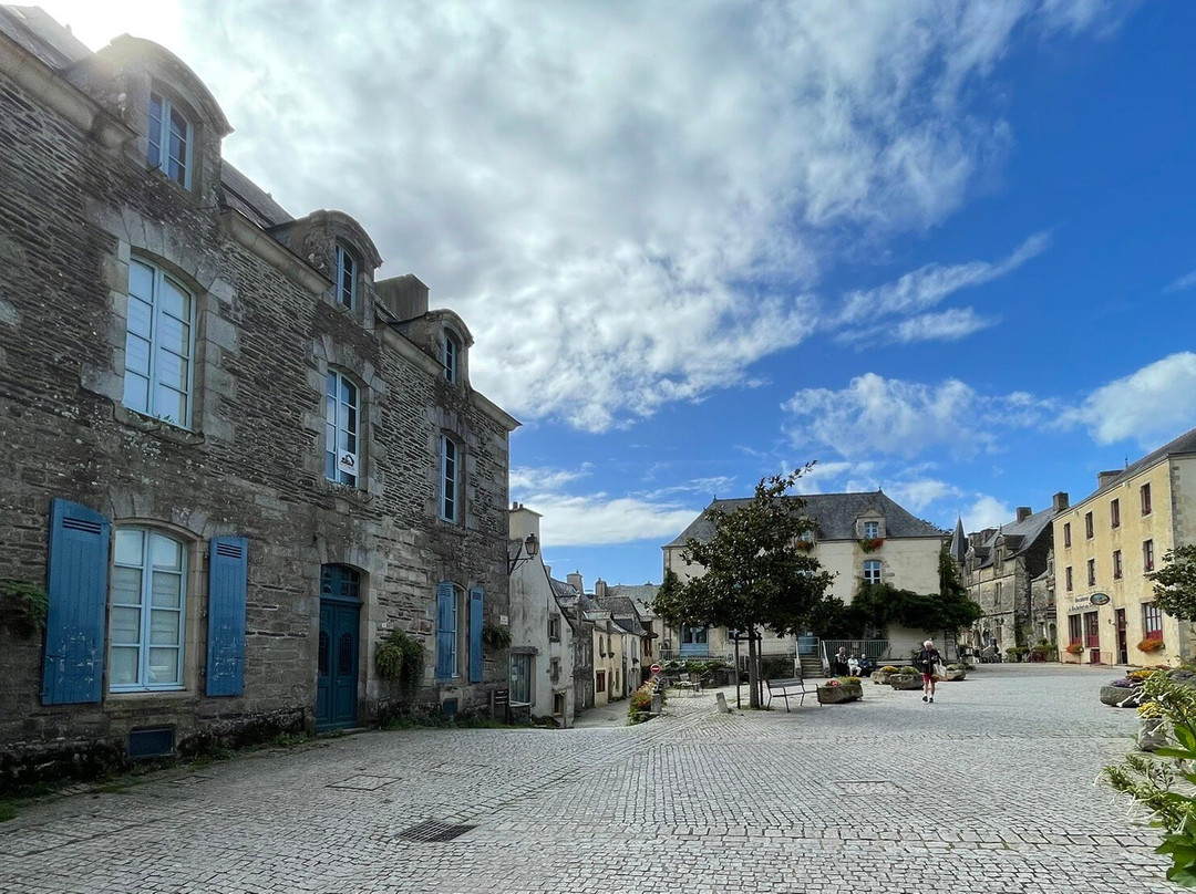 Château de Rochefort-en-Terre-莲蓬头必去景点