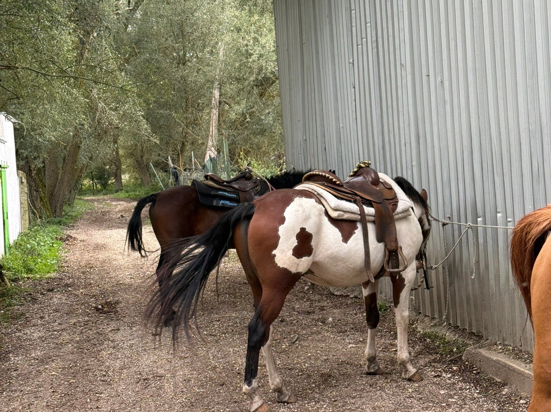 Ranch Brionna-Castel di Sangro必去景点