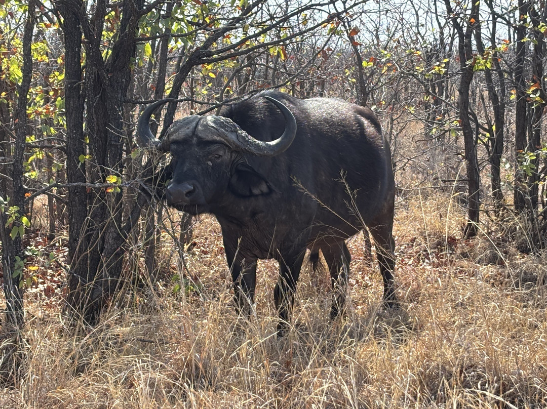 Ngalali Retreat主图