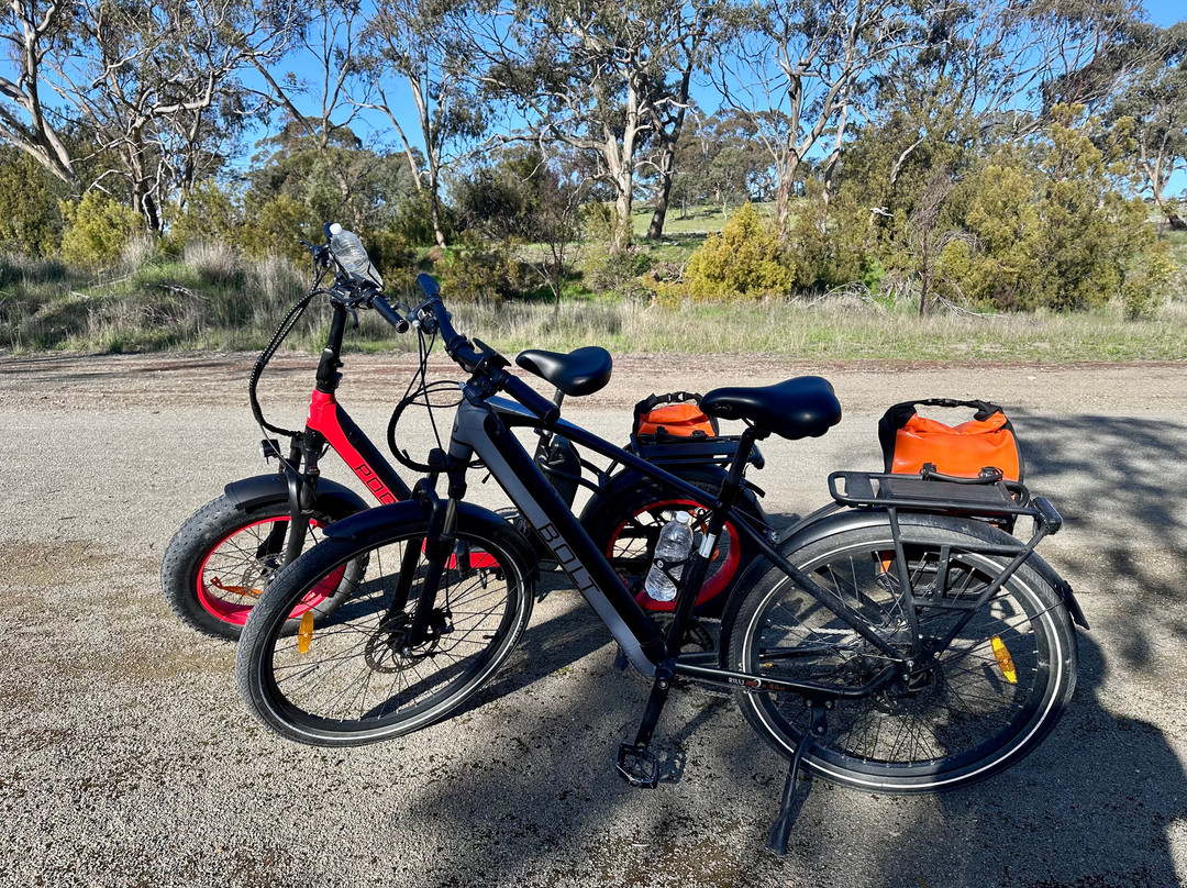 Riesling Trail Bike Hire-克莱尔必去景点