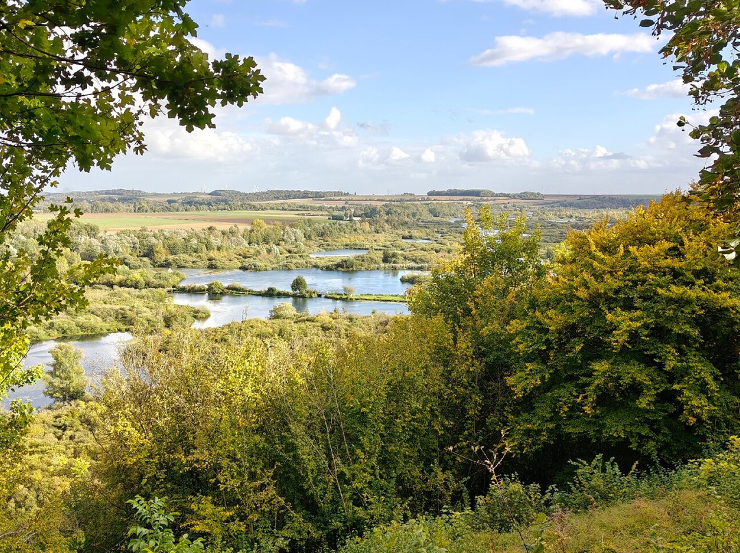Frontaal Battlefield Tours-Desselgem必去景点