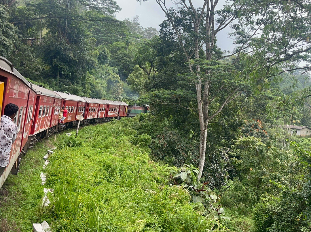 Nanuoya To Ella Train Ride-Nanu Oya必去景点