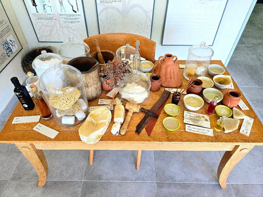 International Hippocratic Foundation of Kos-Kos Town必去景点