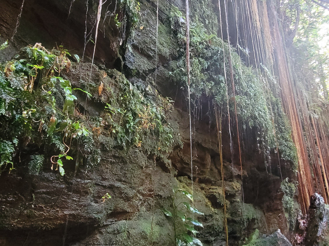 Cânion Sussuapara-Ponte Alta do Tocantins必去景点