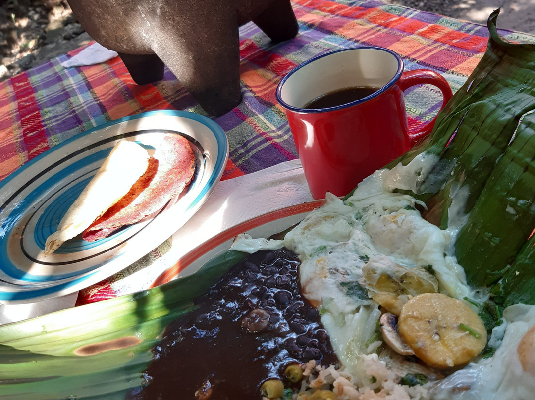 VB Tours-Tapachula必去景点