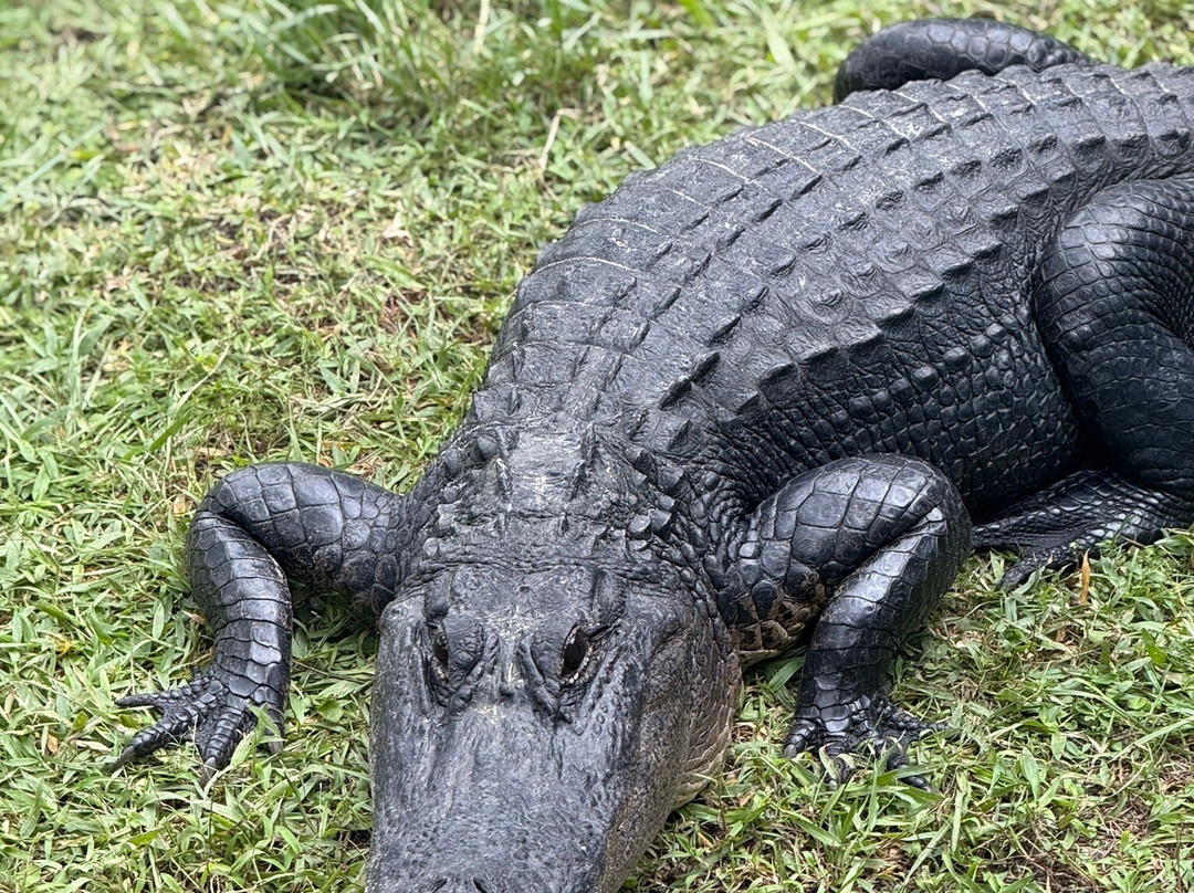 Gatorama-Palmdale必去景点