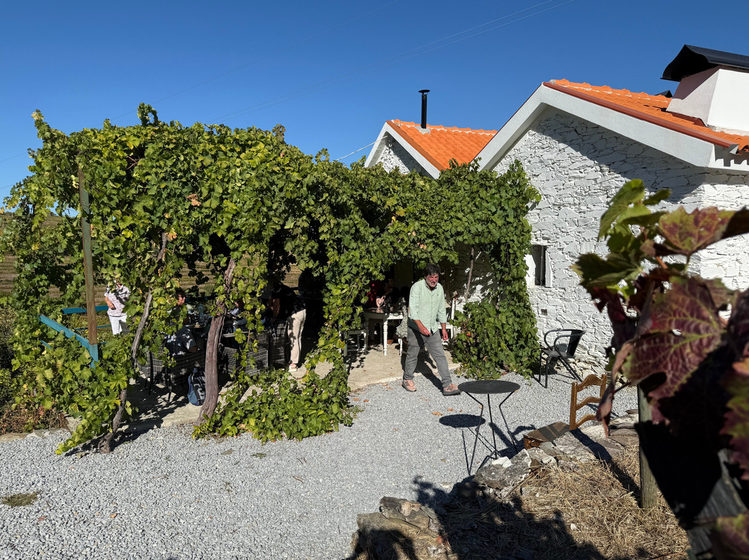 Quinta da Fonte do Milho-Provesende必去景点