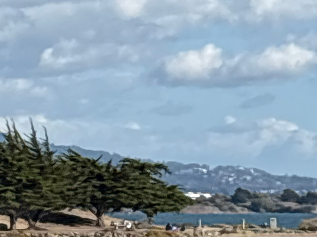 Barbara And Jay Vincent Park-列治文必去景点