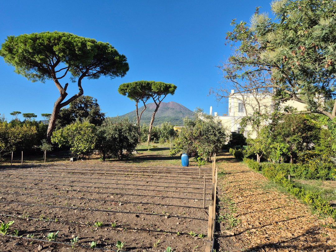 Villa De Cillis Carafa主图