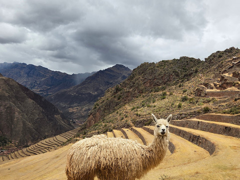 Nomadic Peru-库斯科必去景点