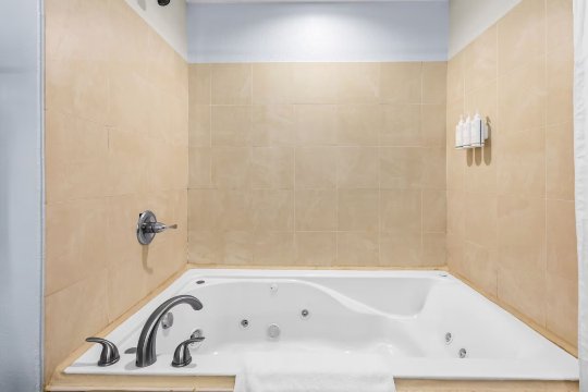 莱克兰戴斯套房酒店-浴室