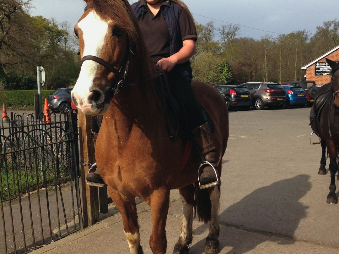 Belfairs Riding School-Leigh-on Sea必去景点