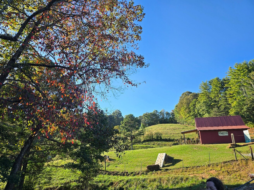 Red Apple Barn-Ellijay必去景点