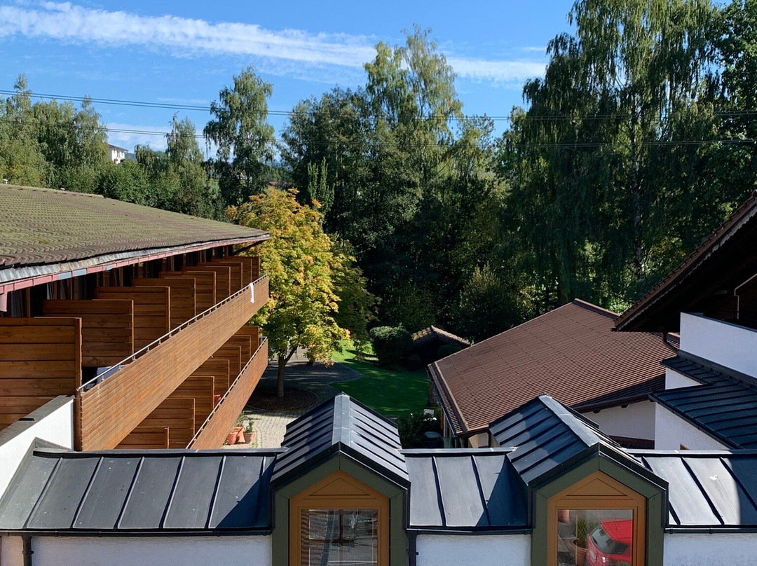 Hotel Das Bayerwald主图