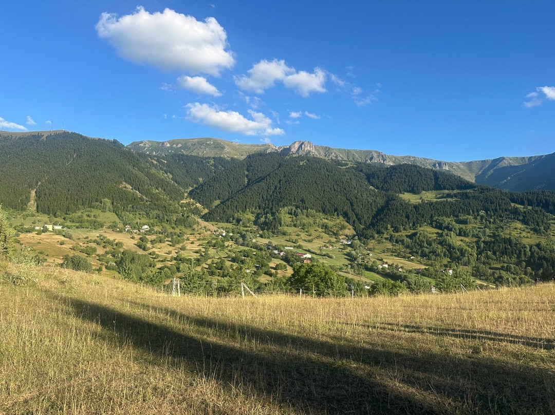 Yavuzköy orman parkı Seyir yeri-Savsat必去景点