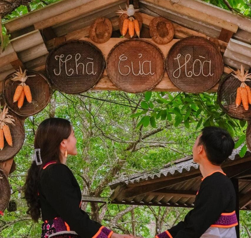 A Hoa Homestay