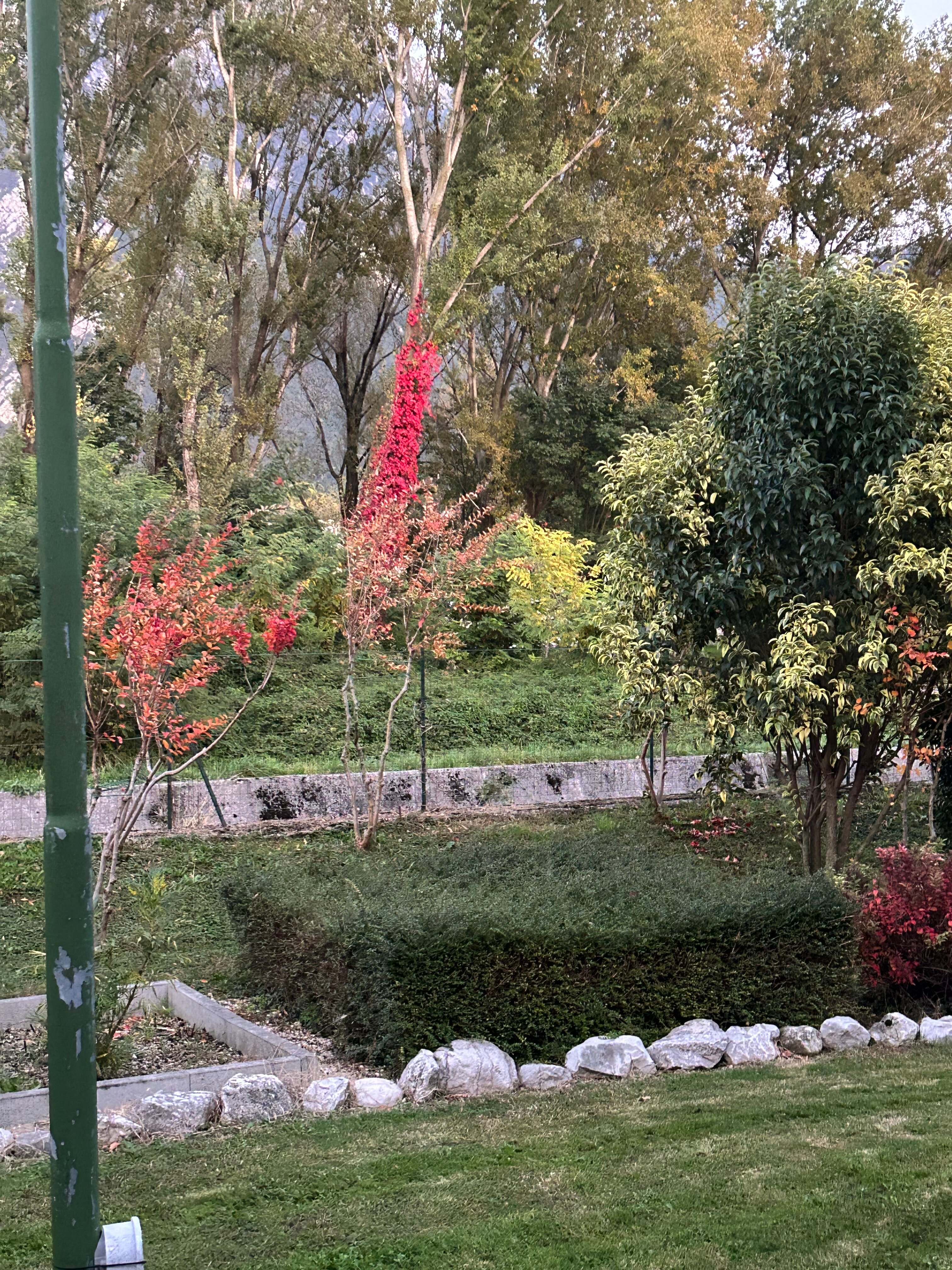 威利酒店-酒店景观