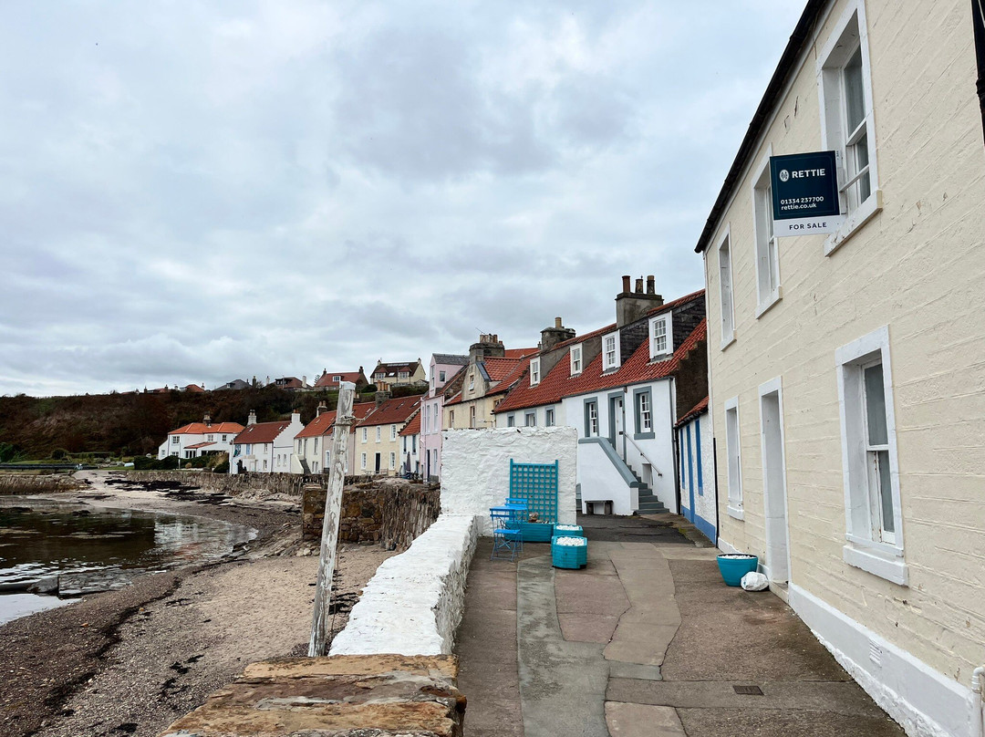 Pittenweem Harbour-Pittenweem必去景点