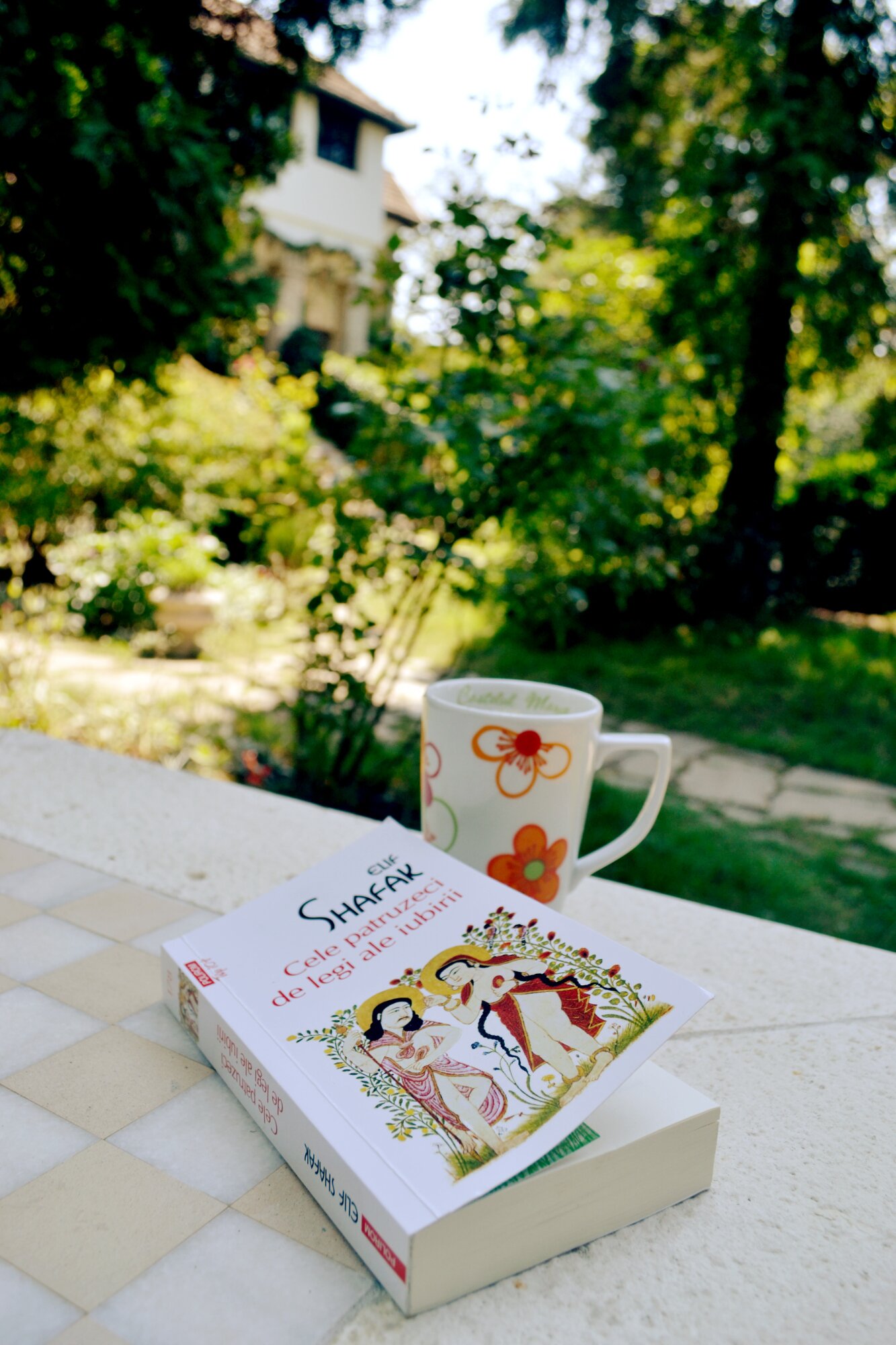 Villa Castelul Maria-官方