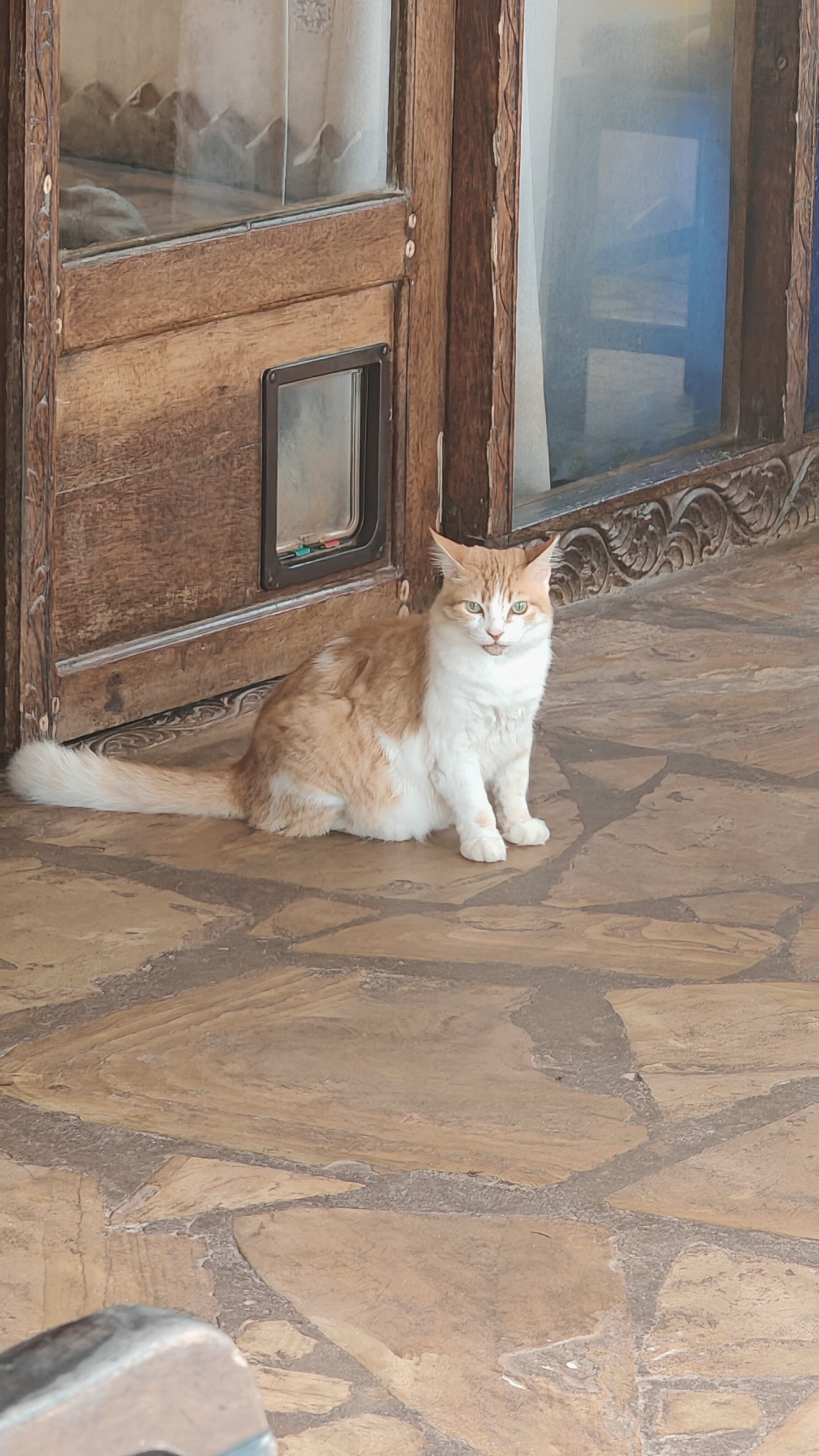 Zanzibar House-浴室