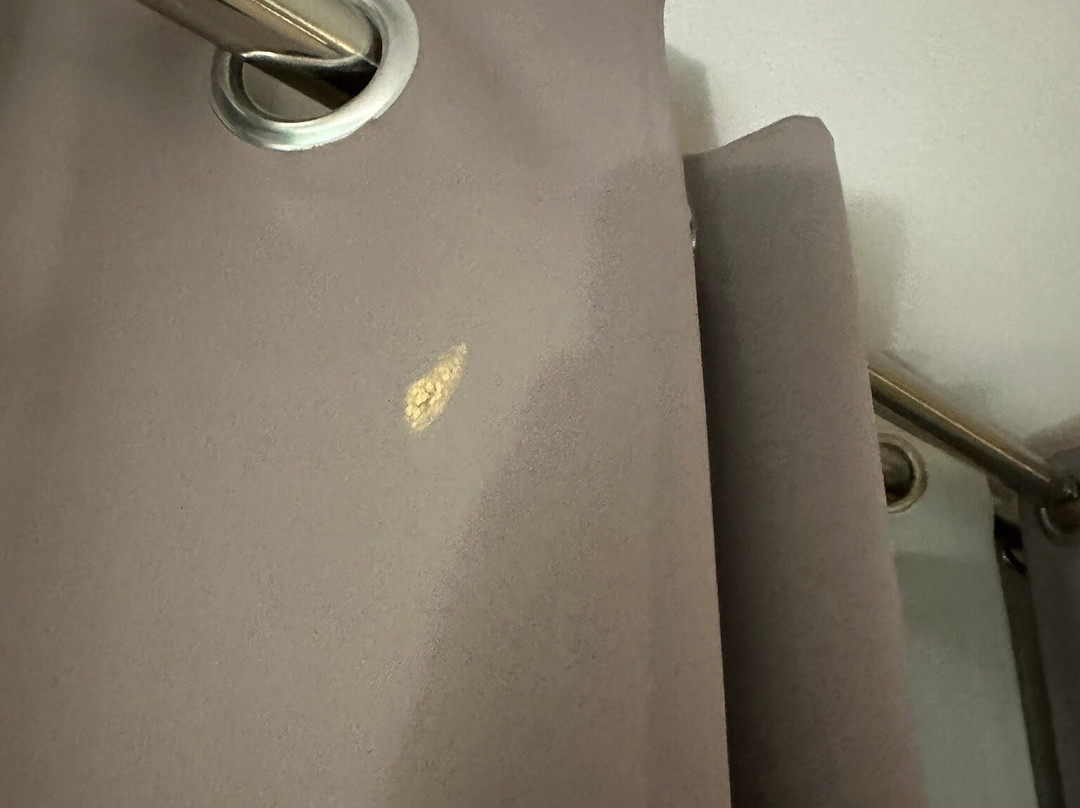 Auberge Du Manet主图