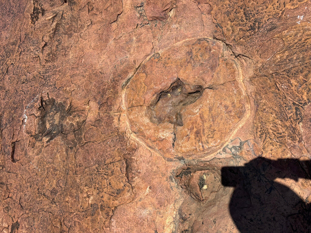 Dinosaur's Tracks主图