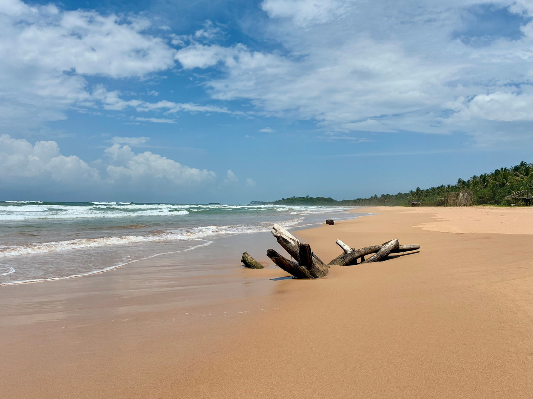 Pearl Of Sri Lanka Travel-科斯戈德必去景点