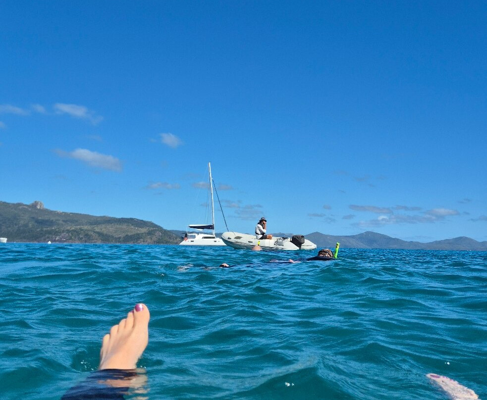 Whitsunday Getaways-艾尔利滩必去景点