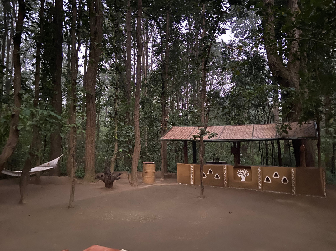 Kanha Jungle Lodge主图