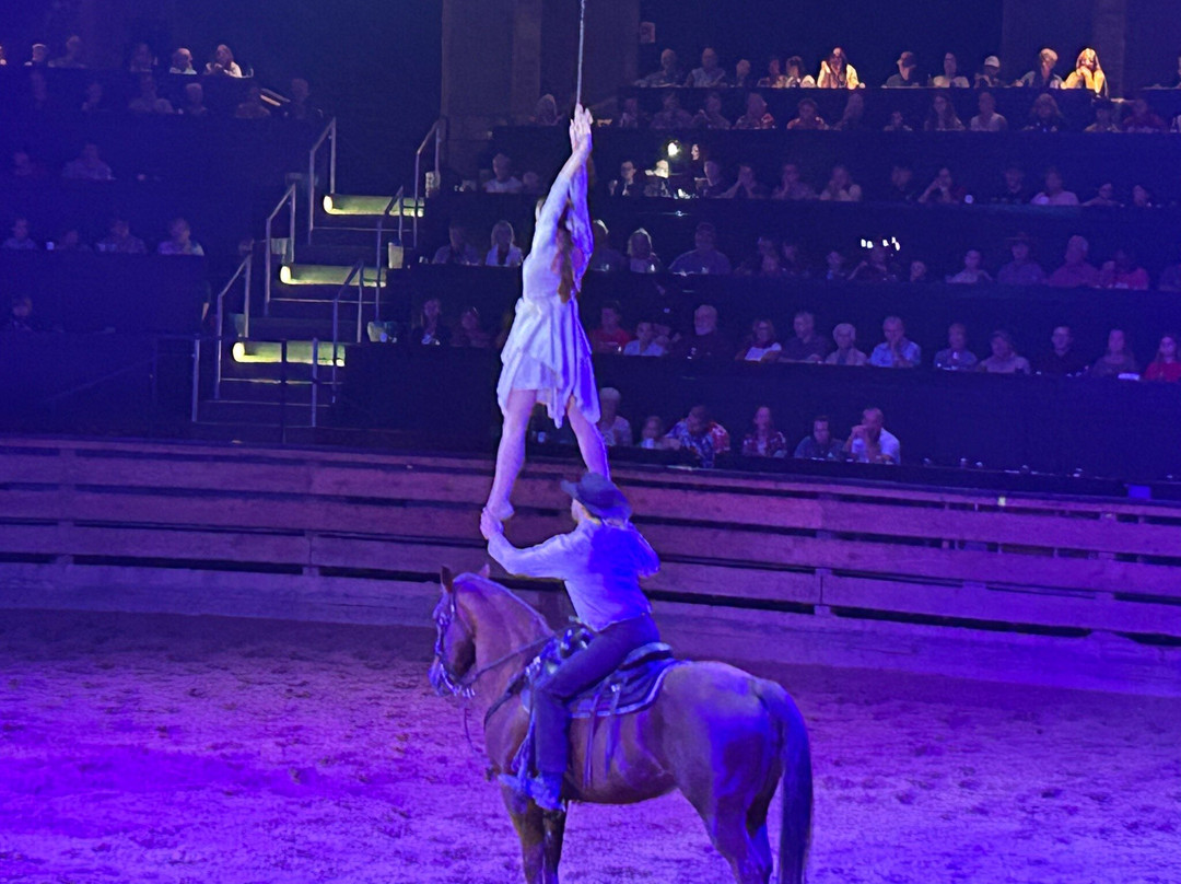 Dolly Parton's Stampede Dinner Attraction-布兰森必去景点