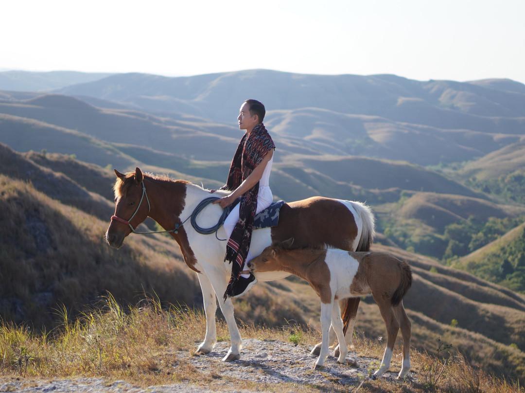 Wairinding Hill-威英嘉浦必去景点
