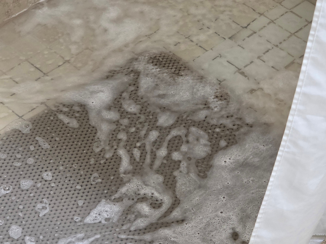 Best Western Maritime Inn主图