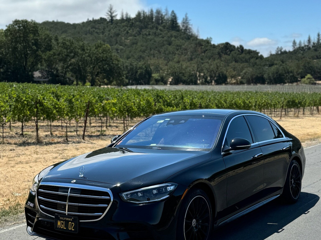 MGL Limo - Executive Black Car-旧金山必去景点