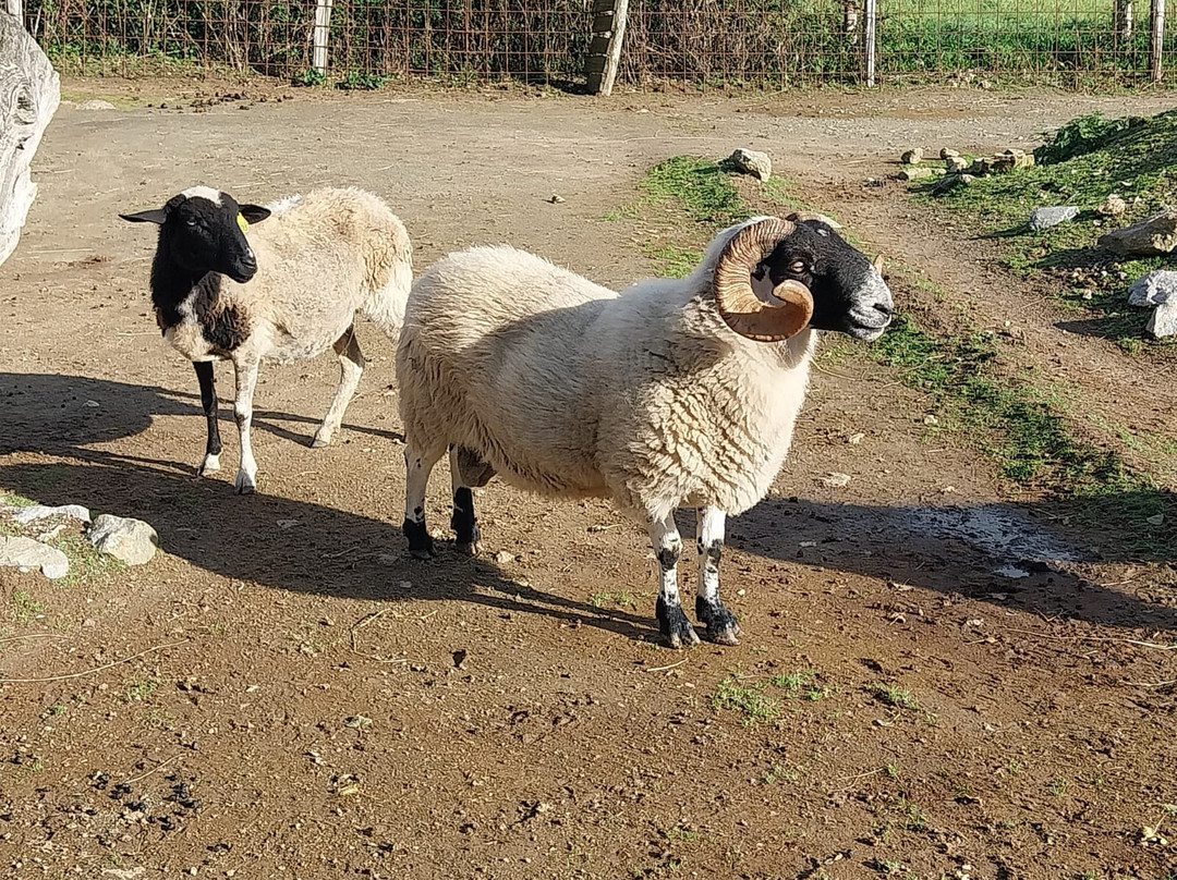 La Ferme Extraordinaire-Donges必去景点