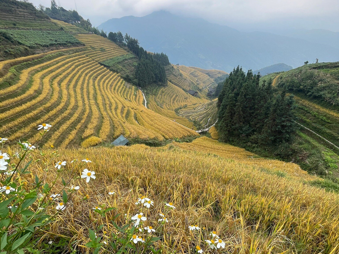 China Educational Tours-桂林市必去景点