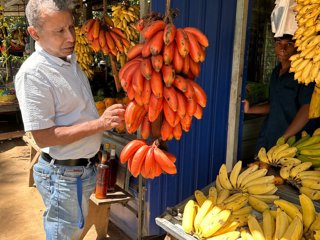 Driver Sri Lanka T-Two-奴娃拉伊利雅必去景点