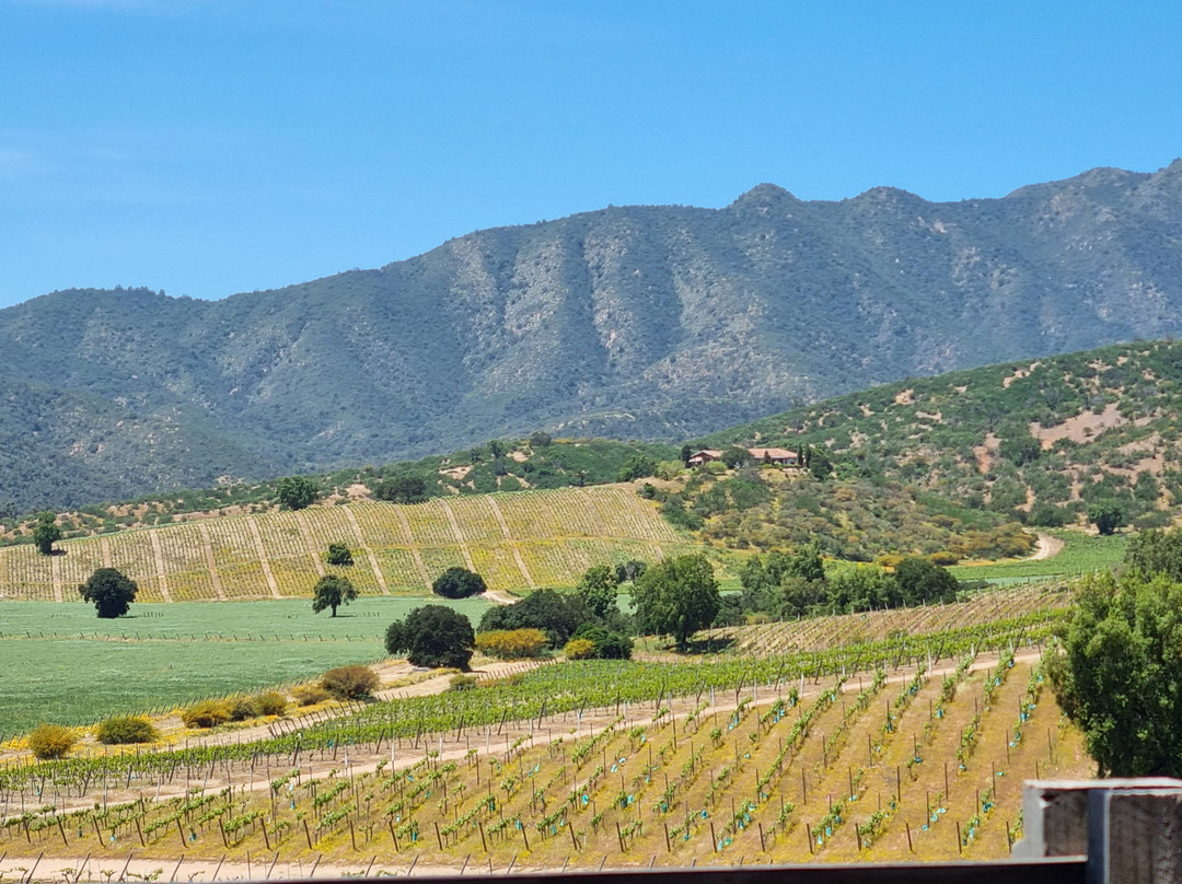 Villard Fine Wines-卡萨布兰卡必去景点