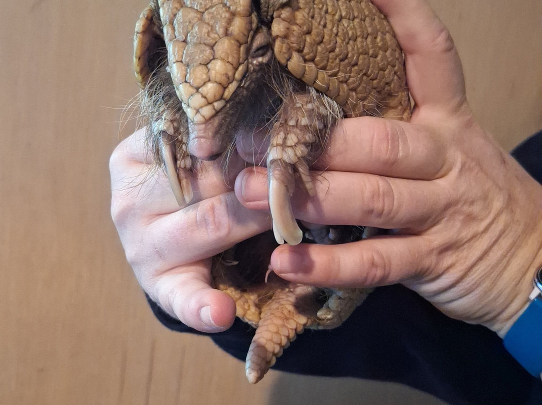 Stokoe Farms-Scottsville必去景点